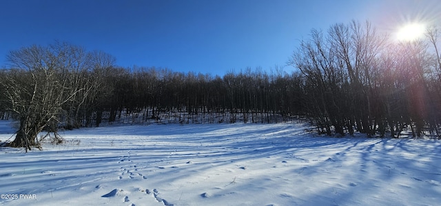 LOT7.4 Hankins Rd, Fremont Center, Ny, NY 12736