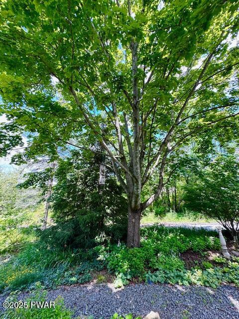 150 Shafran Dr, Lake Ariel, PA 18436 - photo 13