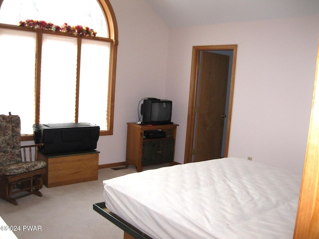 carpeted bedroom featuring multiple windows