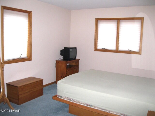 bedroom with carpet floors