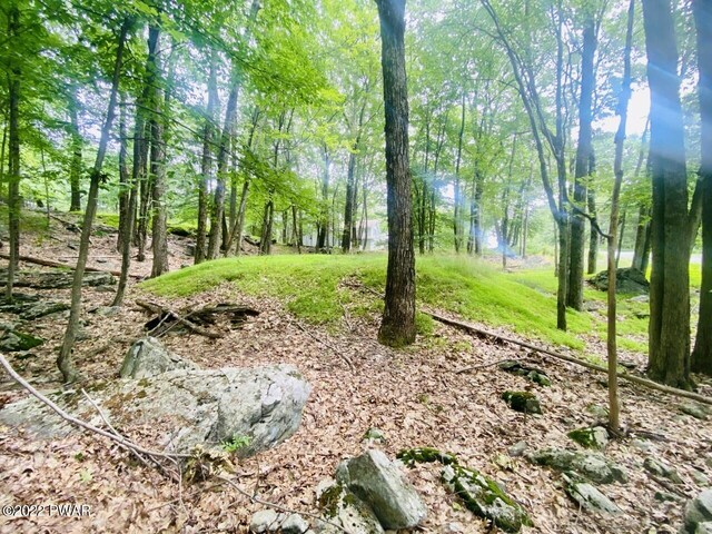 115 Saddlebrook Ln, Lords Valley, PA 18428