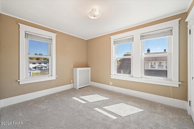 bonus room with radiator and light carpet