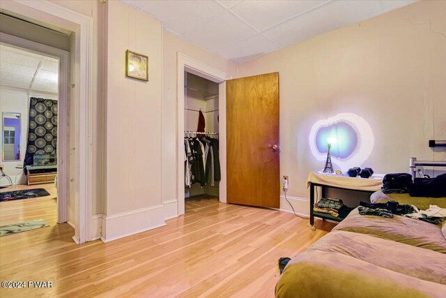 bedroom with a walk in closet, wood-type flooring, a drop ceiling, and a closet