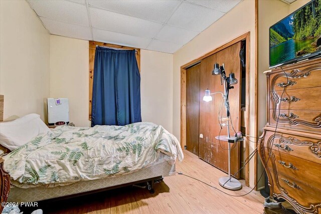 bedroom with a paneled ceiling, a closet, and wood-type flooring