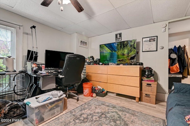 home office featuring a paneled ceiling, ceiling fan, and light hardwood / wood-style flooring