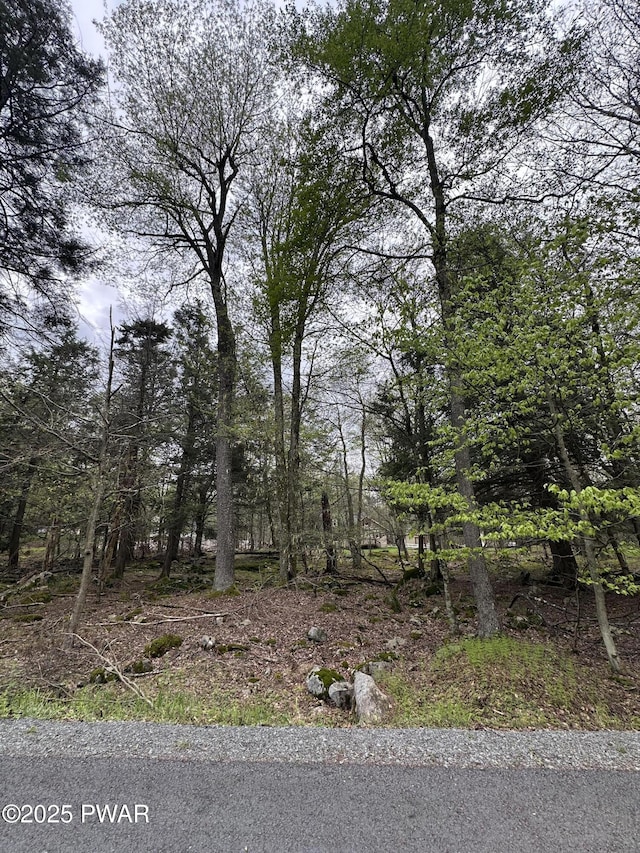 32 Old Silver Mine Trl, Gouldsboro, PA 18424