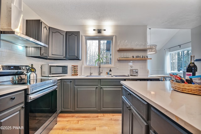 kitchen featuring decorative backsplash, sink, light hardwood / wood-style flooring, appliances with stainless steel finishes, and wall chimney exhaust hood