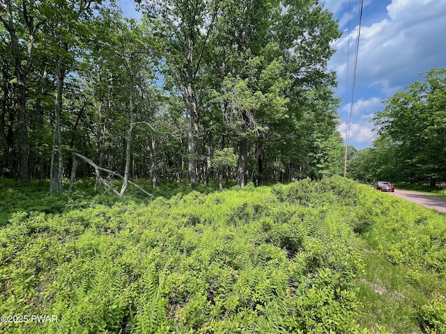 LOT156 Mountain Top Rd, Lackawaxen, PA 18435