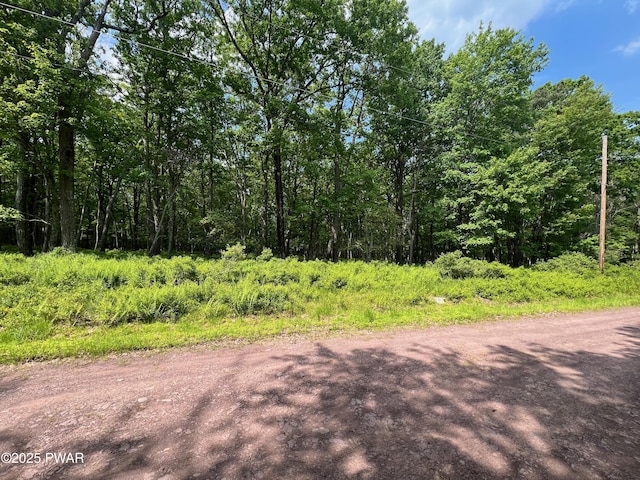 LOT156 Mountain Top Rd, Lackawaxen, PA 18435