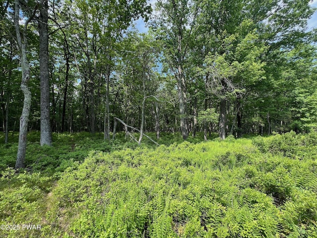 LOT156 Mountain Top Rd, Lackawaxen, PA 18435