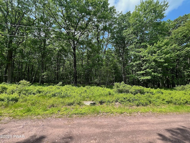 LOT156 Mountain Top Rd, Lackawaxen, PA 18435