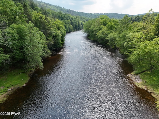 LOT156 Mountain Top Rd, Lackawaxen, PA 18435