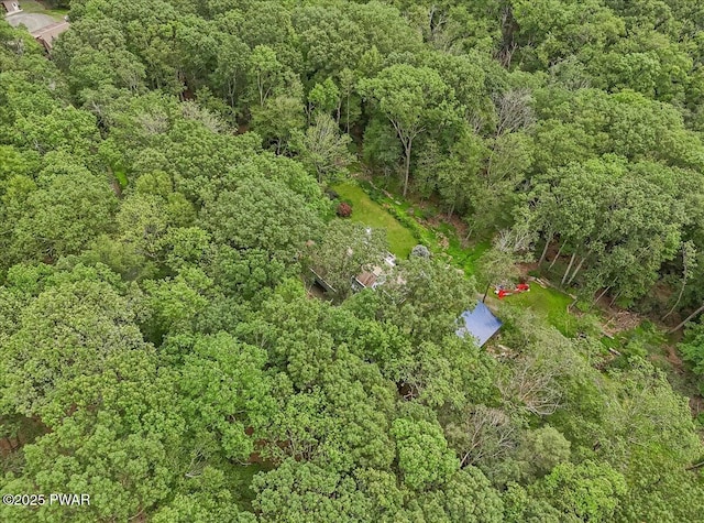 115 Washington Dr, Lords Valley, PA 18428 - aerial view of a heavily wooded area