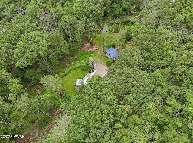 115 Washington Dr, Lords Valley, PA 18428 - bird's eye view of a forest