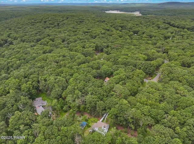 115 Washington Dr, Lords Valley, PA 18428 - aerial view of property's location with a heavily wooded area