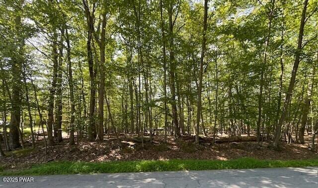 348 Gold Key Rd, Milford, PA 18337 - photo 2