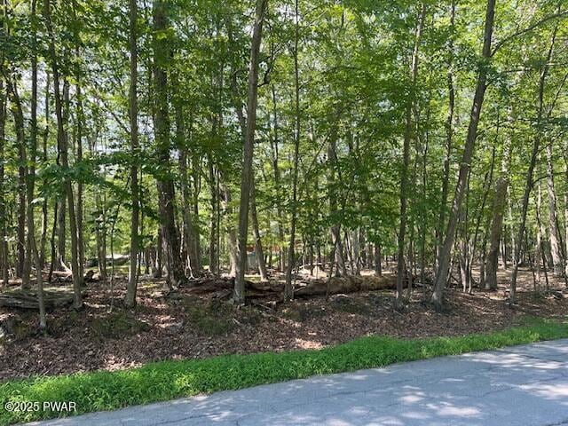 348 Gold Key Rd, Milford, PA 18337 - photo 1
