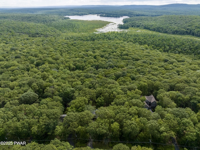 216 Canterbrook Dr, Lords Valley, PA 18328 - bird's eye view of a heavily wooded area