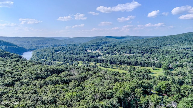 119 White Birch Rd, Matamoras, PA 18336 - photo 41