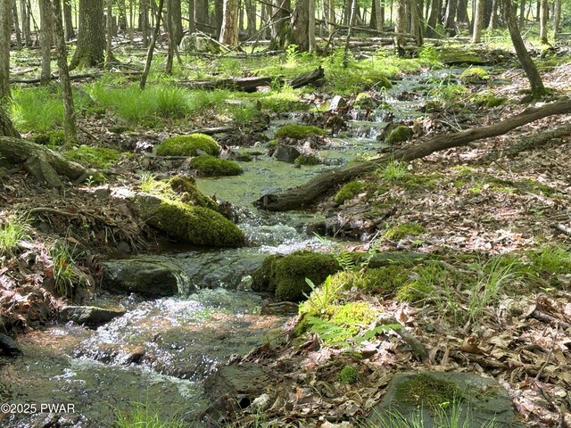 2766 Owego Tpke, Hawley, PA 18428 - view of local wilderness