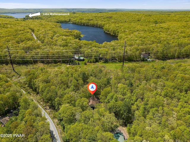 2766 Owego Tpke, Hawley, PA 18428 - aerial view of a forest and a nearby body of water