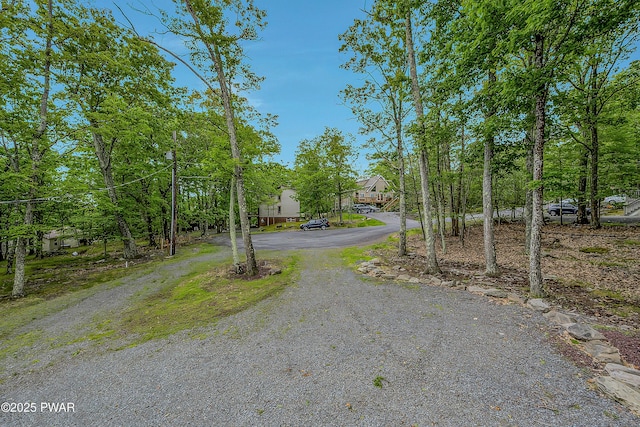 1011 Salem Pl, Lake Ariel, PA 18436 - view of dirt / gravel road