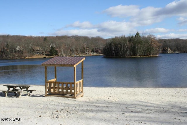 1011 Salem Pl, Lake Ariel, PA 18436 - dock area with a water view and a view of trees