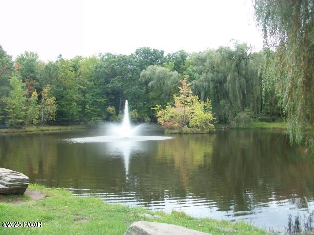 1011 Salem Pl, Lake Ariel, PA 18436 - water view featuring a heavily wooded area