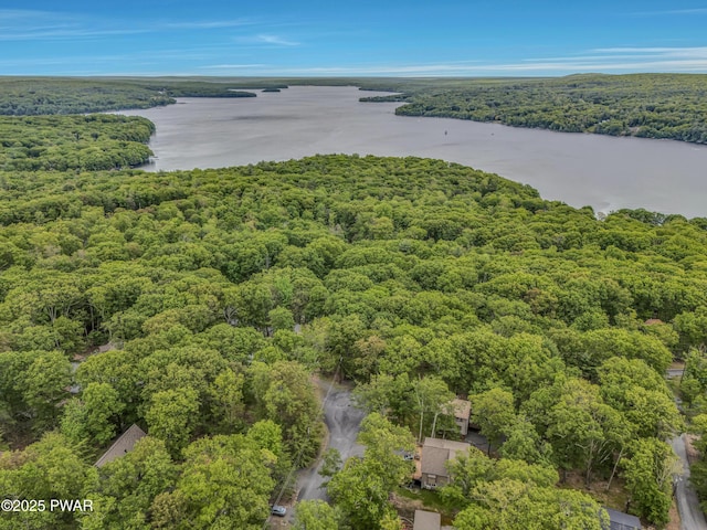 1011 Salem Pl, Lake Ariel, PA 18436 - bird's eye view of a forest and a nearby body of water