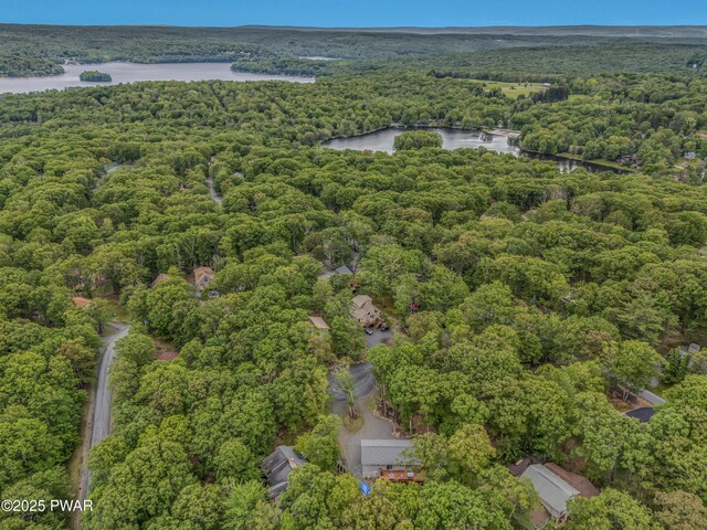 1011 Salem Pl, Lake Ariel, PA 18436 - view of property location featuring a heavily wooded area and a large body of water