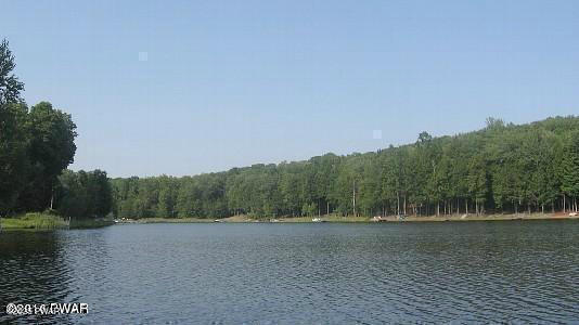 1011 Salem Pl, Lake Ariel, PA 18436 - water view with a heavily wooded area
