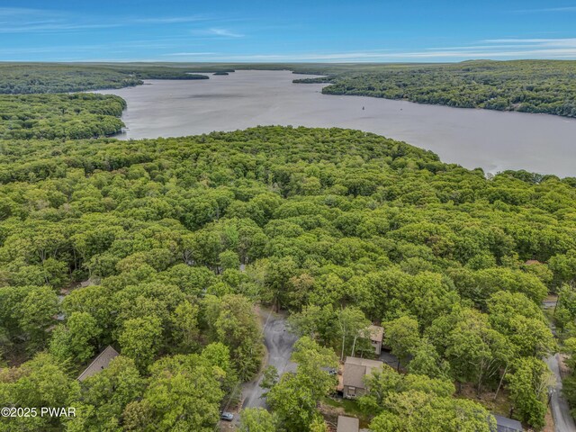 1011 Salem Pl, Lake Ariel, PA 18436 - bird's eye view of a forest and a nearby body of water