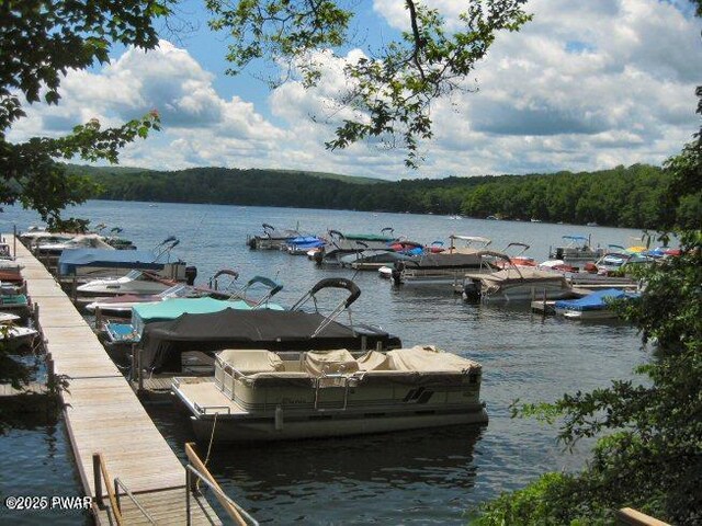 1011 Salem Pl, Lake Ariel, PA 18436 - dock with a water view and a view of trees