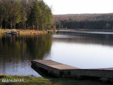 1011 Salem Pl, Lake Ariel, PA 18436 - dock area featuring a water view and a view of trees