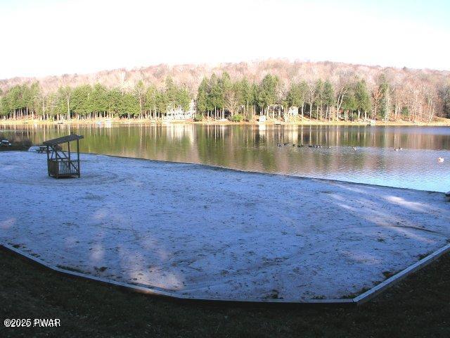 1011 Salem Pl, Lake Ariel, PA 18436 - water view with a forest