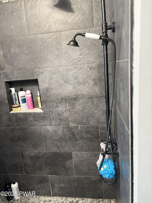 1267 Brookfield Rd, Lake Ariel, PA 18436 - bathroom view of a tile shower