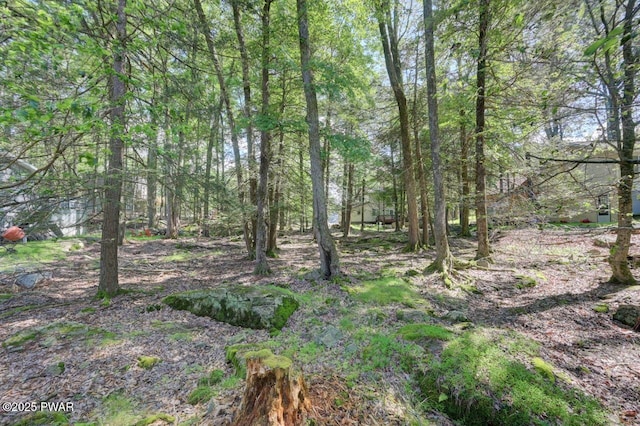 54 Wallenpaupack Dr, Lake Ariel, PA 18436