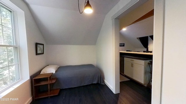 401 Log Tavern Rd, Milford, PA 18337 - bedroom with lofted ceiling, multiple windows, and dark wood-style flooring