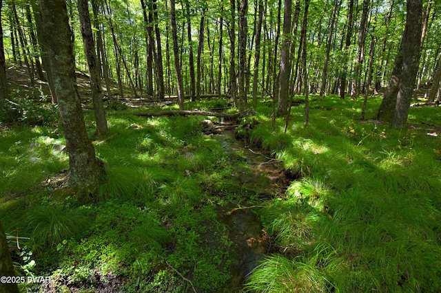 401 Log Tavern Rd, Milford, PA 18337 - view of nature