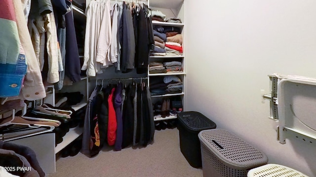 401 Log Tavern Rd, Milford, PA 18337 - spacious closet featuring carpet flooring