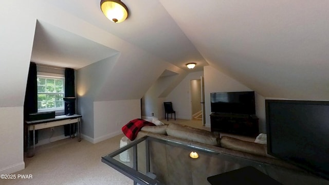 401 Log Tavern Rd, Milford, PA 18337 - bonus room with carpet and lofted ceiling