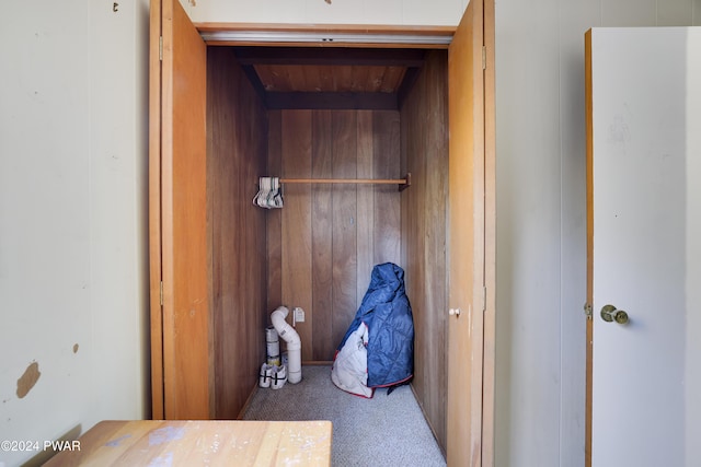 room details featuring wood walls and carpet floors