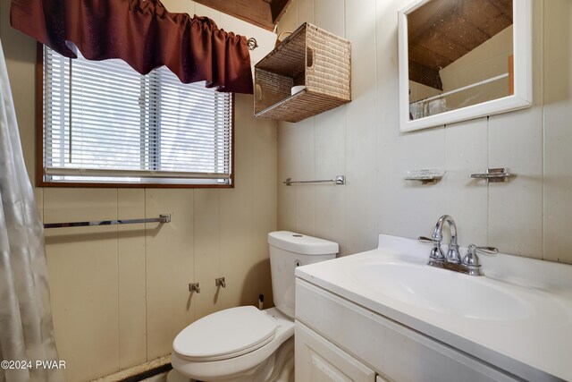 bathroom featuring vanity, toilet, and wooden walls