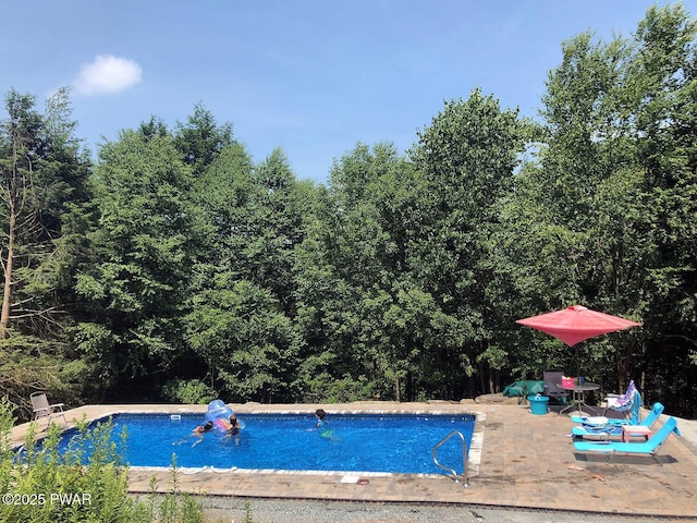 108 Boyds Mills Rd, Beach Lake, PA 18405 - swimming pool with a patio