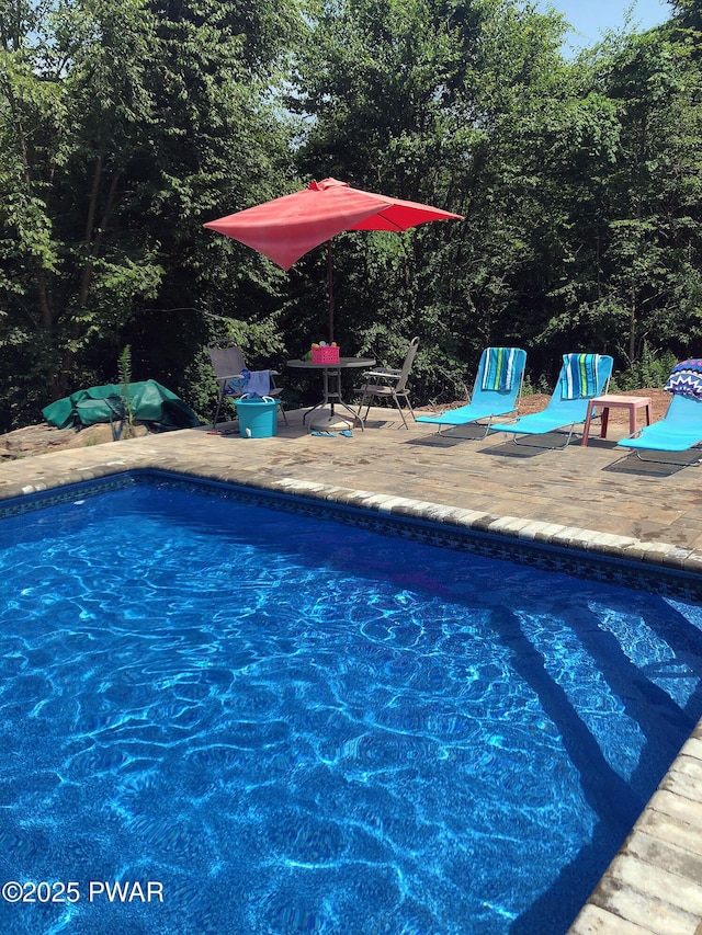 108 Boyds Mills Rd, Beach Lake, PA 18405 - outdoor pool with a patio