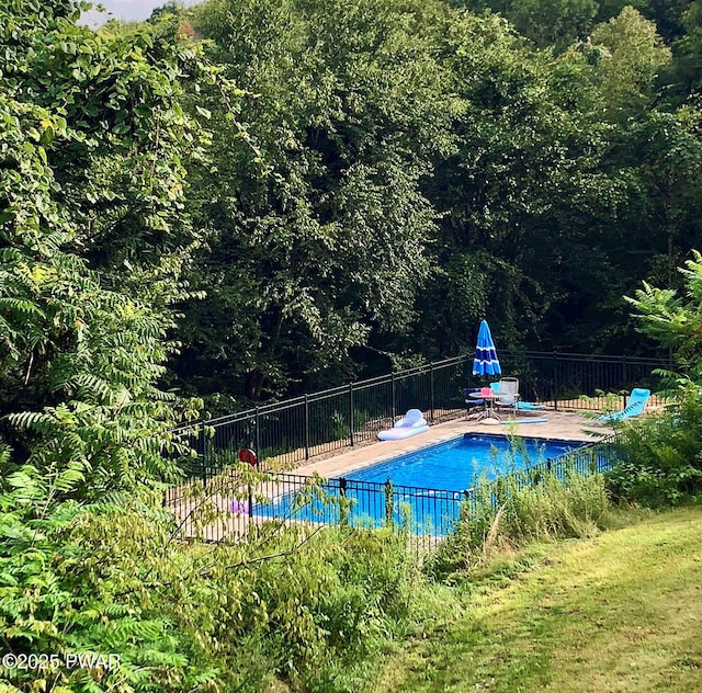 108 Boyds Mills Rd, Beach Lake, PA 18405 - view of pool featuring a forest view and a patio area