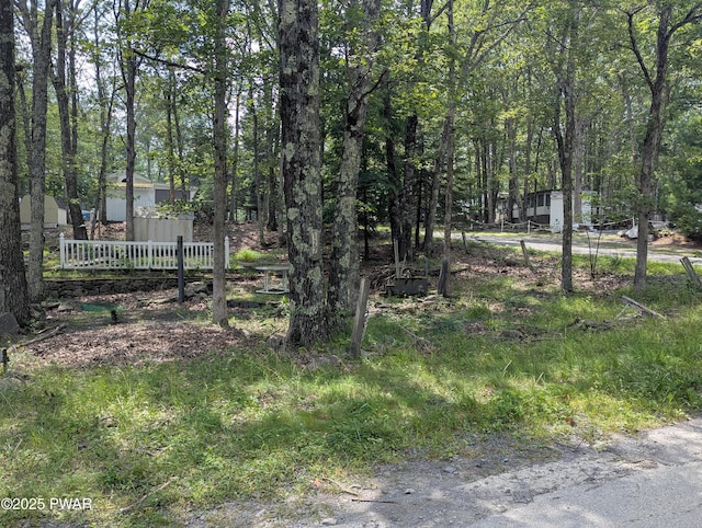 125 Tribes Dr, Shohola, PA 18458 - photo 19