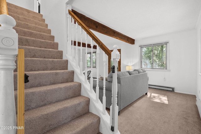 83 Oak Cir, Lake Ariel, PA 18436 - photo 13
