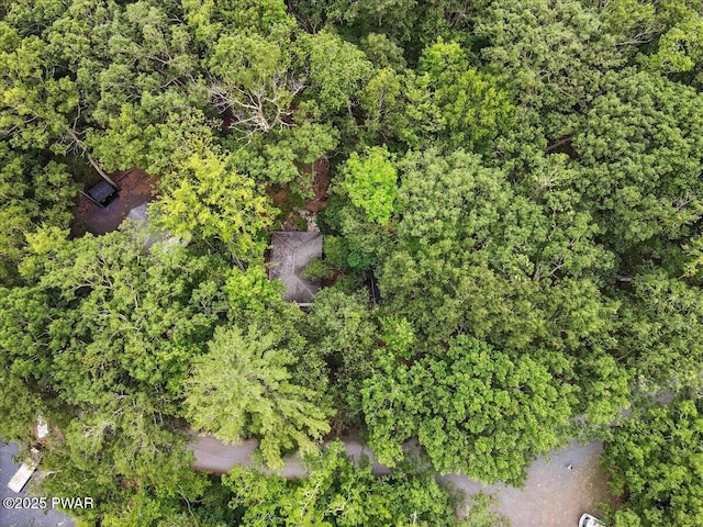 193 Old Rte 402, Dingmans Ferry, PA 18328 - bird's eye view