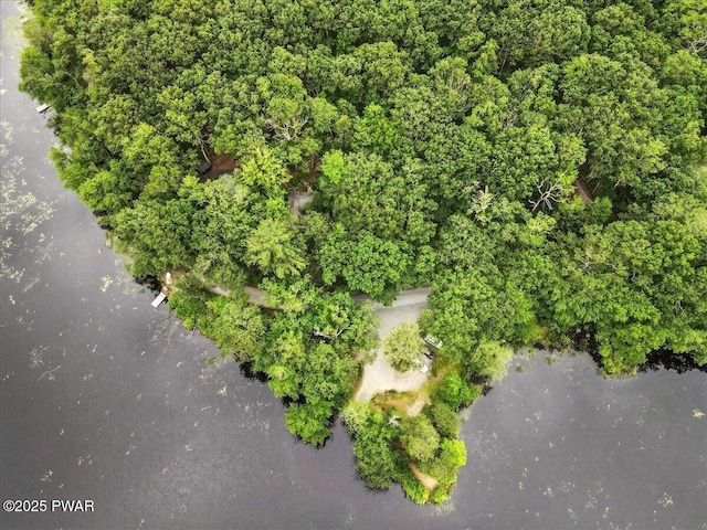 193 Old Rte 402, Dingmans Ferry, PA 18328 - bird's eye view